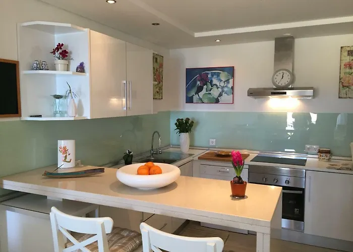 Os Reais - In Front Of The In Centeanes *